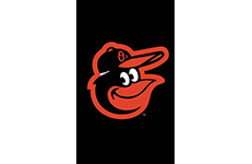 baltimore_orioles_yard_flag_24830sma